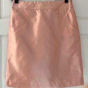 J Crew Women’s Skirt w/Tags Size 8